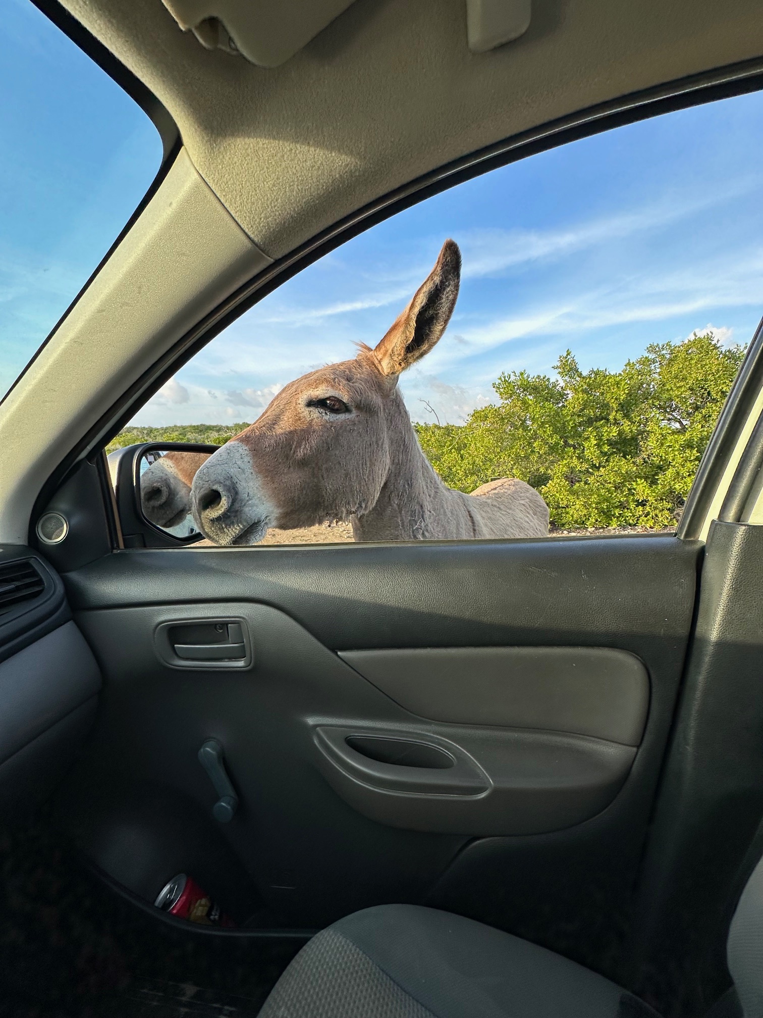 Local life on Bonaire