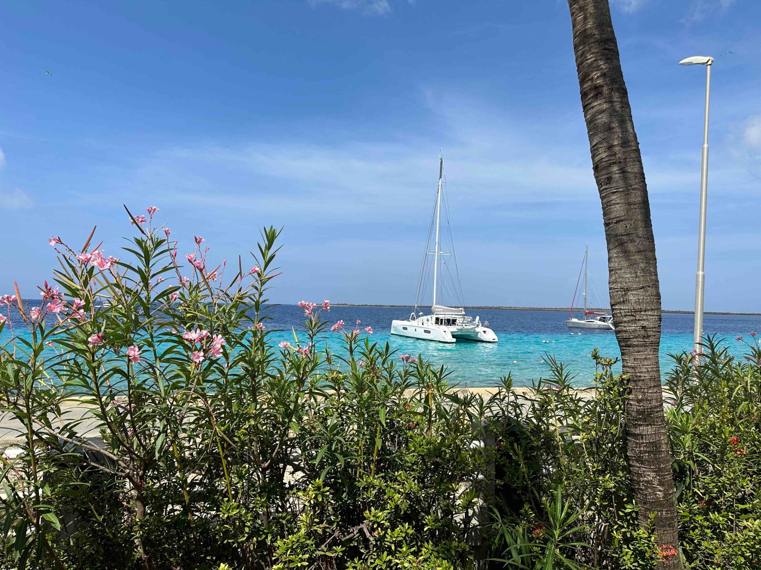 Ocean view from Villa Trépanier